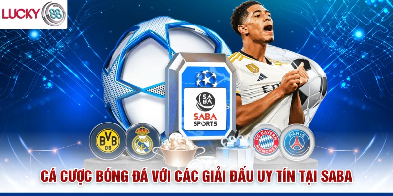 Cá cược bóng đá với các giải đấu uy tín tại SABA